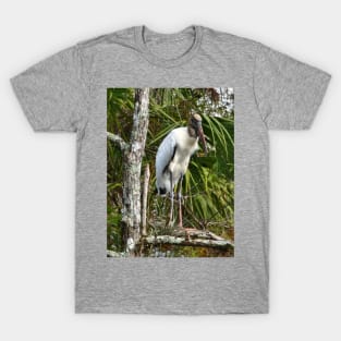 Wood Stork T-Shirt